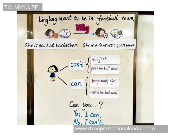 博格丹博格达诺维奇的篮球之路与未来发展展望